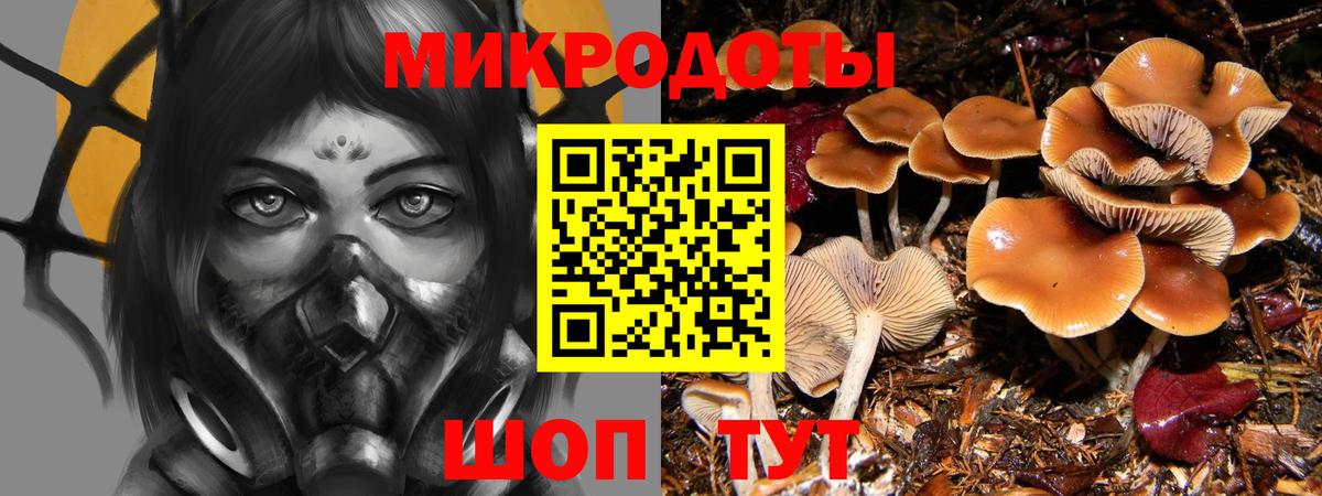 Псилоцибиновые грибы Psilocybe  Вход с VPN  Саяногорск 